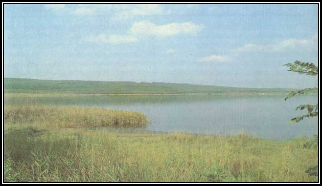 Вид на озеро Тамбукан. Пятигорск